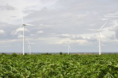 Wind turbine generators over green field in Thailand
の写真素材