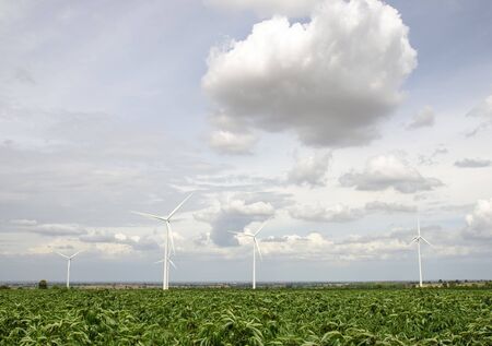 Wind turbine generators over green field in Thailand