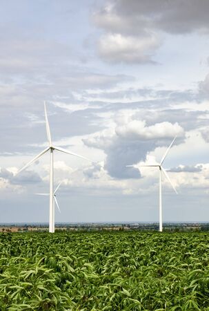Wind turbine generators over green field in Thailand
の写真素材