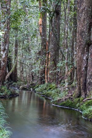 Beautiful waterfall in green forest in Phu Kradueng national park, Thailand
の写真素材