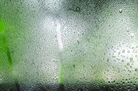 Pattern of rain drops on glass windowの写真素材