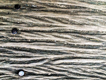 Texture woodの素材