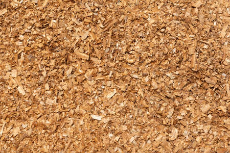 Sawdust or wood dust texture background. Wood sawdust background closeup. Sawdust floor texture. Top view. Saw dust texture, close-up background of brown sawdust.の写真素材