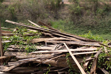 Large stack of wood planks, teak woodの写真素材