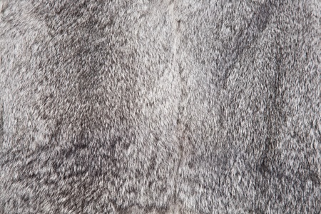 close up image of rabbit fur