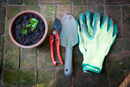 Image of gardening toolsの写真素材