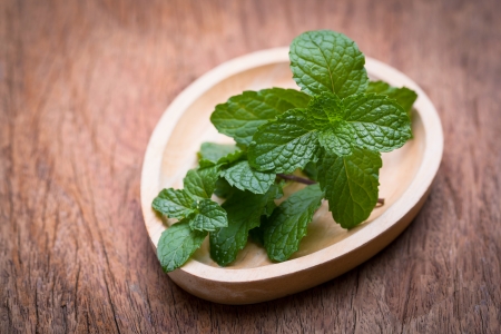image of green fresh mint on tableの写真素材