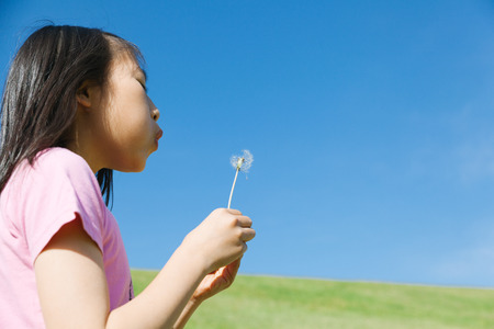 a girl blowing dandelionの写真素材