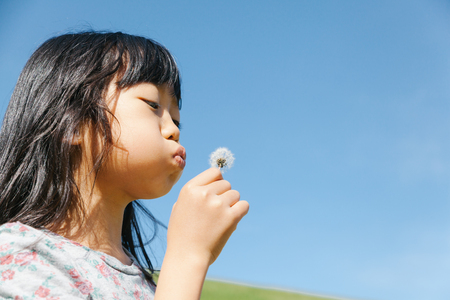 a girl blowing dandelionの写真素材