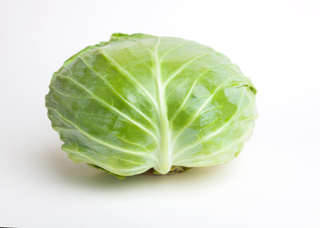 cabbage  on white backgroundの写真素材