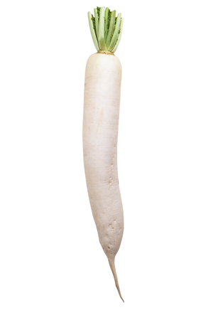 white radish isolated on whiteの写真素材