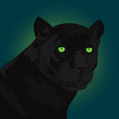 Hand drawn black pantherのイラスト素材