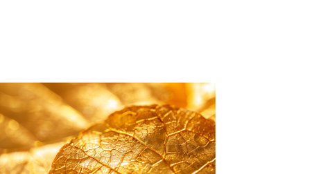 This close-up image captures golden leaves with a textured surface, radiating warmth and elegance. Ideal for nature-themed projects and artistic compositions.の素材