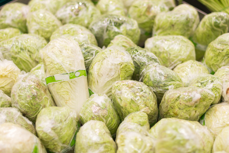 White cabbageの写真素材