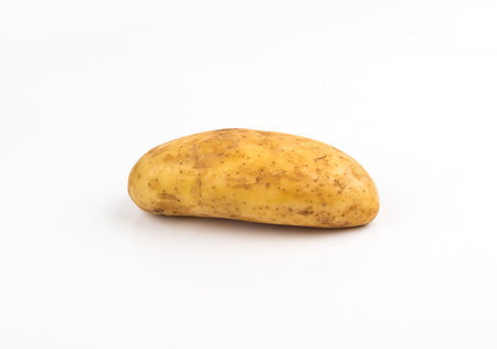 potato on white background close upの写真素材
