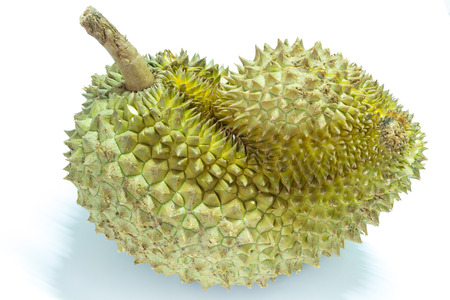 Durian on white backgroundの写真素材