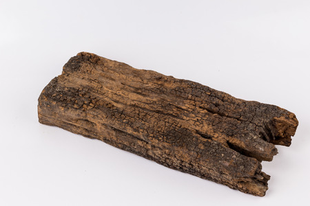 log old on a white backgroundの写真素材