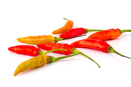 chili pepper on white backgroundの写真素材