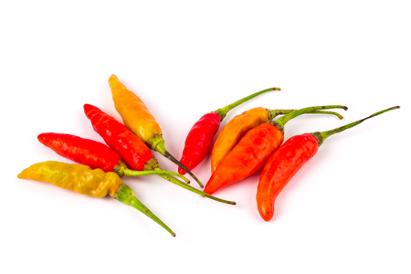 chili pepper on white backgroundの写真素材