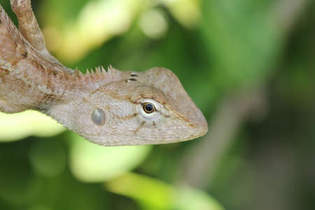 chamiloenの写真素材