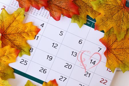 Love day concept. Calendar to remain valentine's day with maple leaf background.valentine day, february14の写真素材