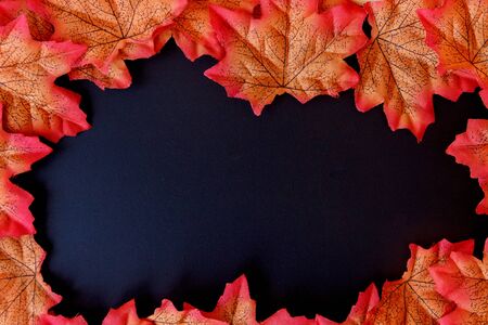 maple leaf and free space for text with black background.