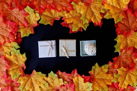 maple leaf and mini gift box with black background.の写真素材