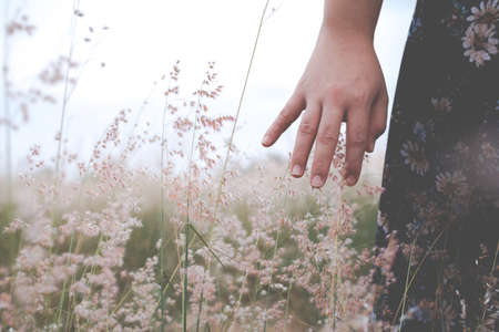 Hand's woman in a blue dress on a wheat field. woman in meadow concept