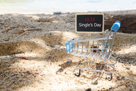 Online shopping of China, 11.11 single's day sale concept. The shopping cart and the text 11.11...