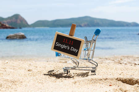 Online shopping of China, 11.11 single's day sale concept. The shopping cart and the text 11.11 single's day sale on the beach.の写真素材