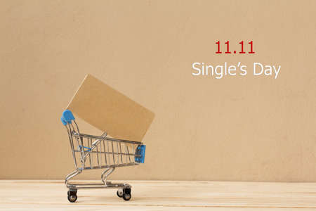 Online shopping of China, 11.11 single's day sale concept. The shopping cart and the text 11.11 single's day sale with copy space.の写真素材