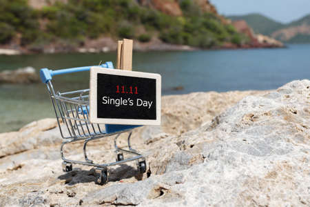 Online shopping of China, 11.11 single's day sale concept. The shopping cart and the text 11.11...