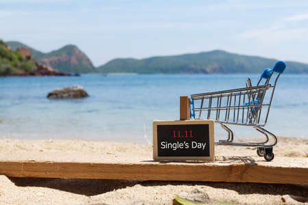 Online shopping of China, 11.11 single's day sale concept. The shopping cart and the text 11.11...