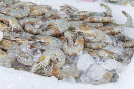 Close up the Shrimp is selling in the market.の写真素材