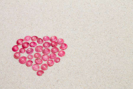 heart made by pink shellsの写真素材