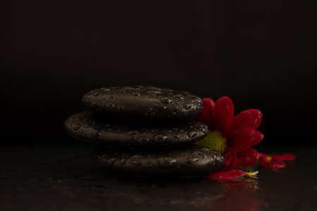 black stone with red chrysanthsの写真素材