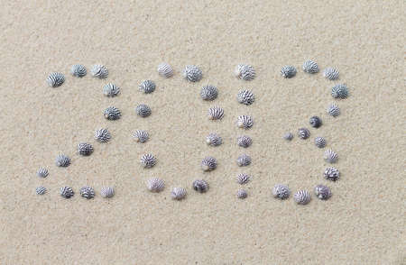 2013 new year made of black and white candy nerite sea snails on the sandの写真素材