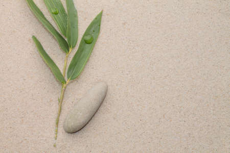 bamboo leafs and zen stoneの写真素材
