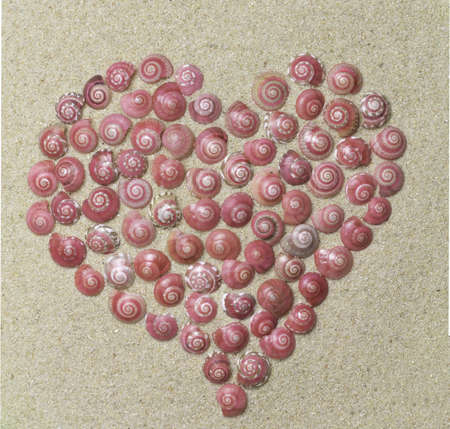 heart made of pink shellsの写真素材