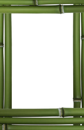 green bammboo frameの写真素材