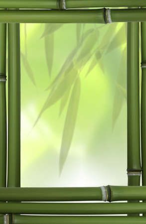 green bammboo frameの写真素材