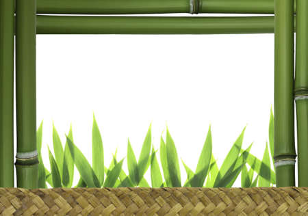 Bamboo frameの写真素材
