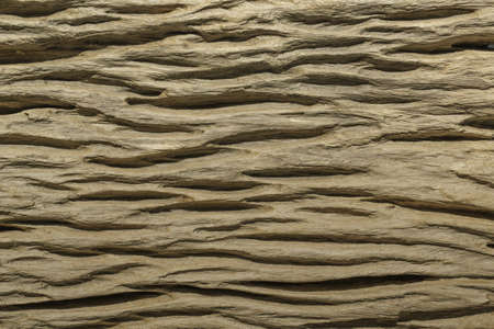 wood textureの写真素材