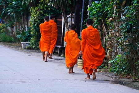 Monks in northern Thailand.の写真素材
