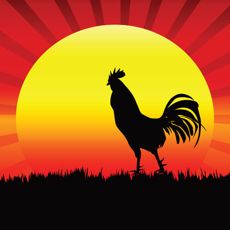 Rooster Silhouette on Background sunrise.のイラスト素材