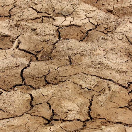 soil crackedの写真素材