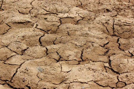 soil cracked