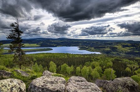 Prisecnice dam in Krusne hory mountains, Roots in the water tank Prisecnice, Jeleni mountain.の写真素材