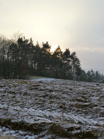 Photo of a field in the winterの写真素材