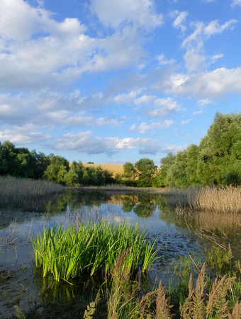 Photo of a beautiful lake under cloudy skyの写真素材